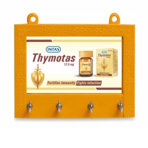 Promotional Plastic Key Rack: Custom Orange 4.5"x5" Wall Hanging & Utility Item 
